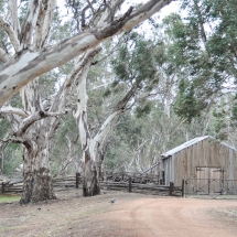 Pental Island Woolshed, Swan Hill, VIC_preview