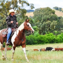 Rounding up at Rose Valley VIC_preview