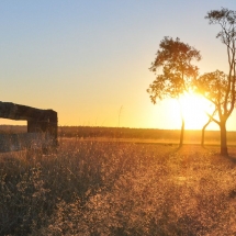 Trip 2017 Meadowbank Edited No Cr-23 (2)_preview